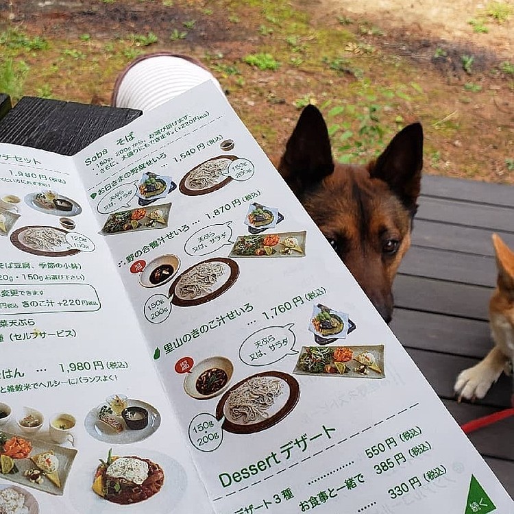 オイラの分もあるー？🍚