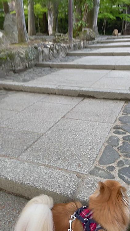 琵琶湖疏水です♪
南禅寺の有名ポイント😆
ここはお気に入りの場所の一つです😊