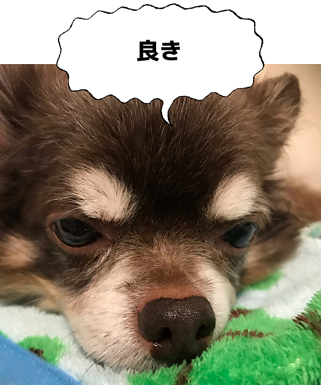 目、開いてた😂
王子様、気持ちいいですか？🤣🤣