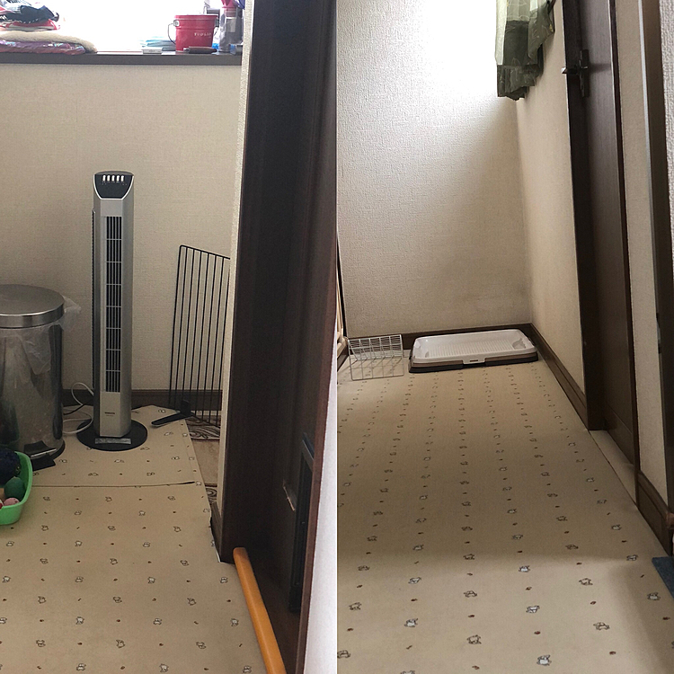 暑いので、廊下のカーペットを外しました🎵
そして扇風機の登場✨
窓を開けてるだけでは下の方の空気は暑いので扇風機で空気を循環させます👍😊