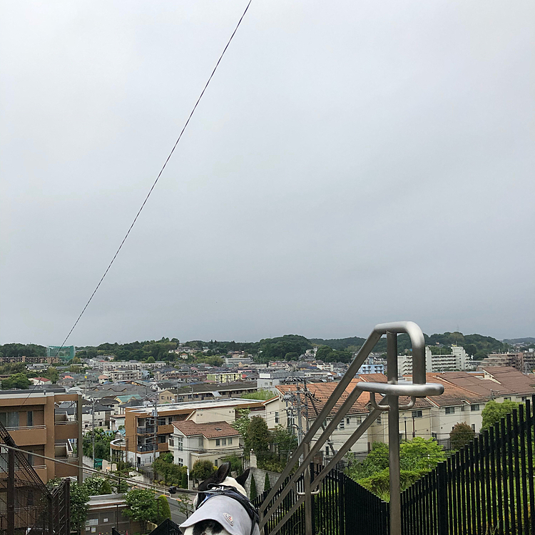 雨は降ってないものの曇天の空です🙂