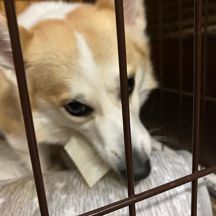 カミカミが止まらない（笑）