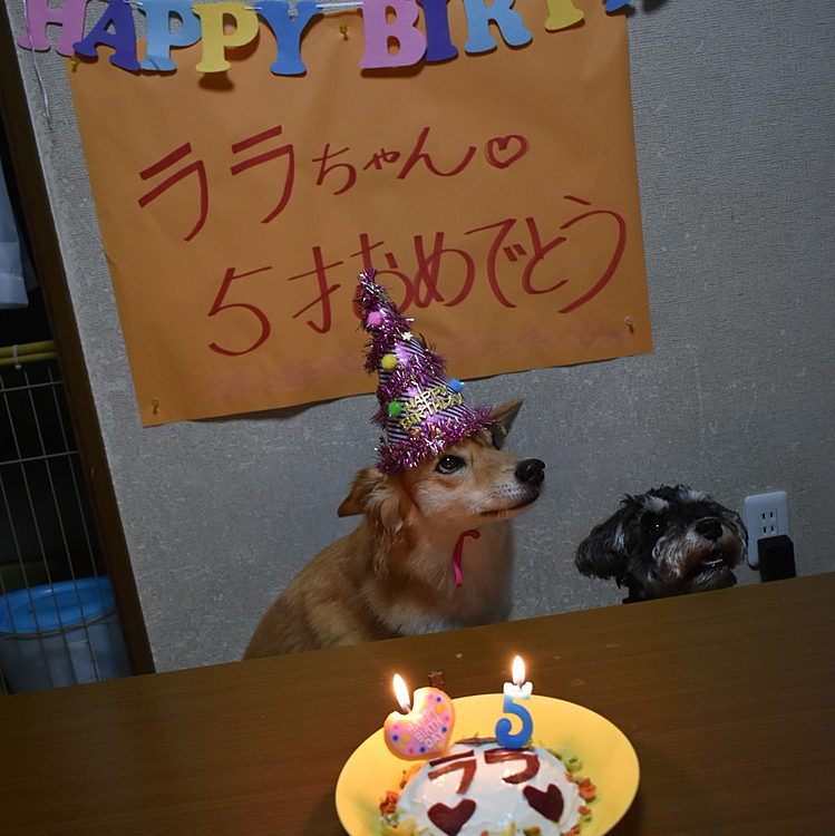 あっという間の５年❣️
これからも楽しいこといっぱいしようね😘