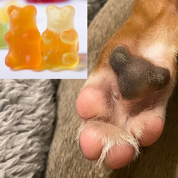 でも形と触感はHARIBOだったりする(笑)