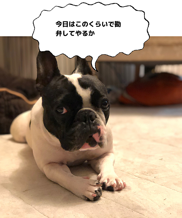 完全に疲れてます😅