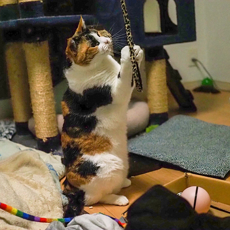 ナイスキャッチ