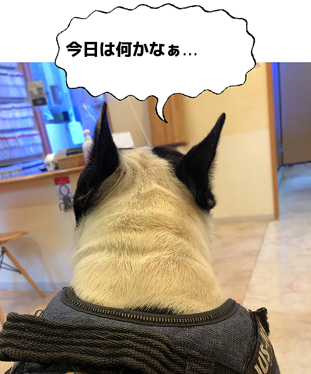 サニーB（まろ父）の投稿