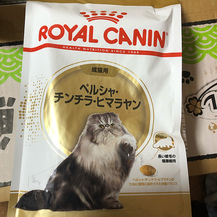 ふーちゃんのご飯届きました！粒が小さくて食べやすそうです！
お口が小さいからノルのご飯食べづらそうだったけど、ノルのご飯食べたがるんだよなぁꉂ(ˊᗜˋ*)

気に入ってくれるといいな*.(๓´͈ ˘ `͈๓).*