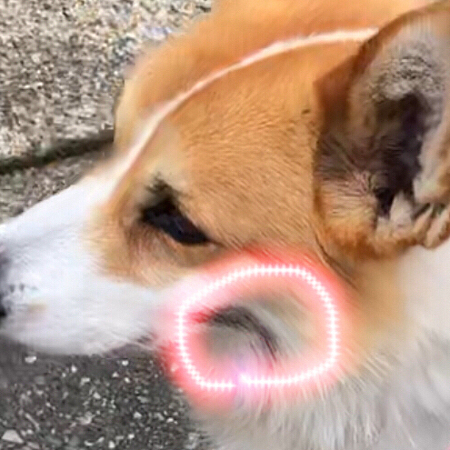 スリスリしたら。。ほーらっ😱😱😱
何か黒いもの付いてるじゃん🌀🌀🌀
あ〜あ〜🌀🌀🌀
この後、おかーたん。。ボクたんの顔をゴシゴシ怒りを込めて？？拭いてまちた💦
おかーたんごめんね💦