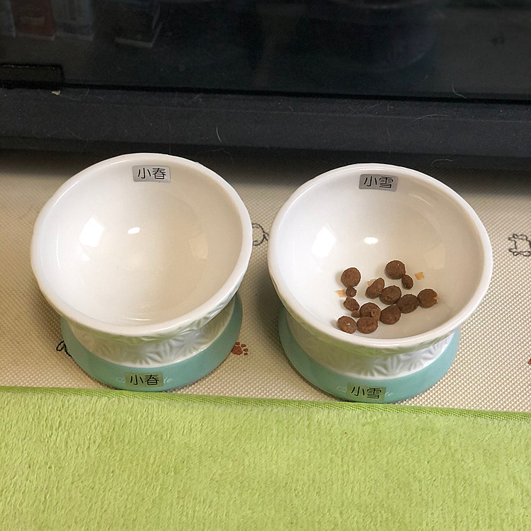 小雪の分やないか〜ぃ🤣🤣🤣

朝っぱらから食いしん坊バンザイ🙌な小春でした👍😂
