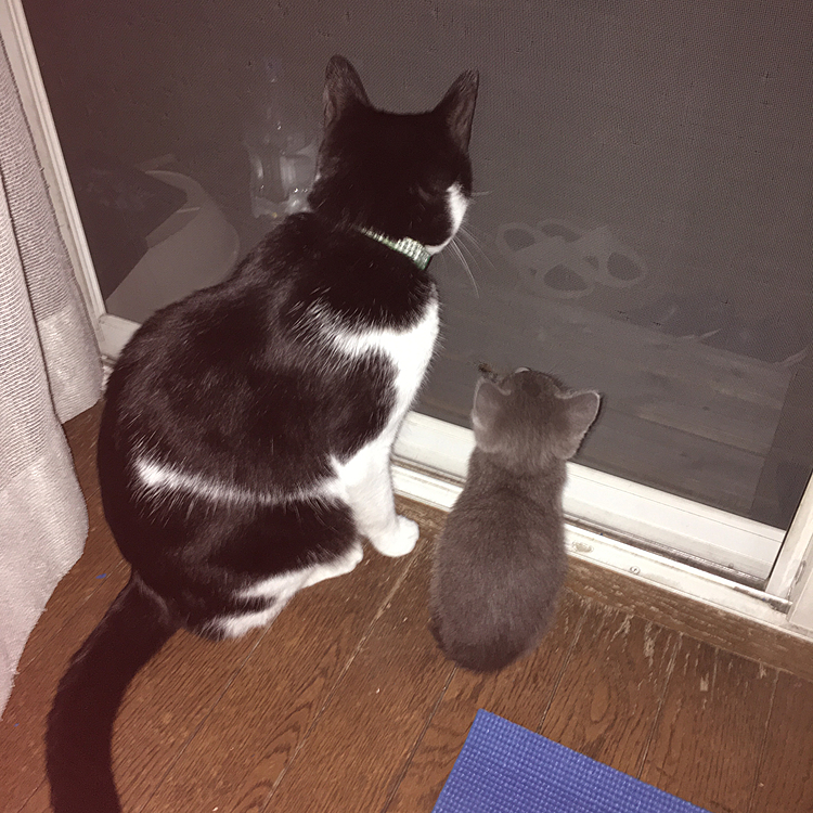 こんなに小さかったのに、今ではほぼ同じ体重