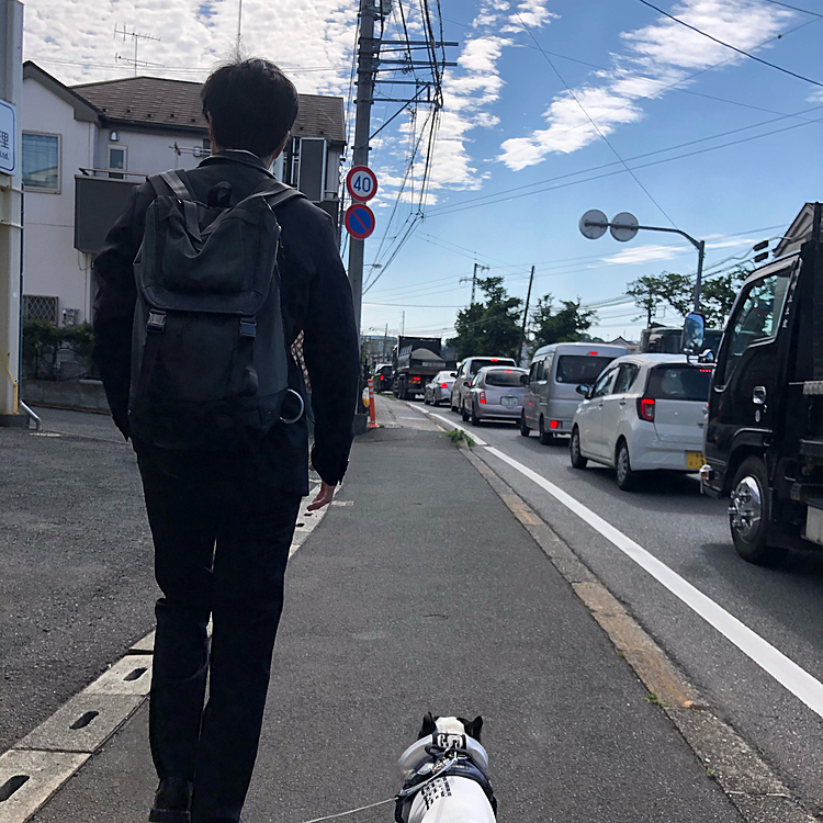 今朝のお散歩は駅に向かう次男と一緒に家を出ました😀