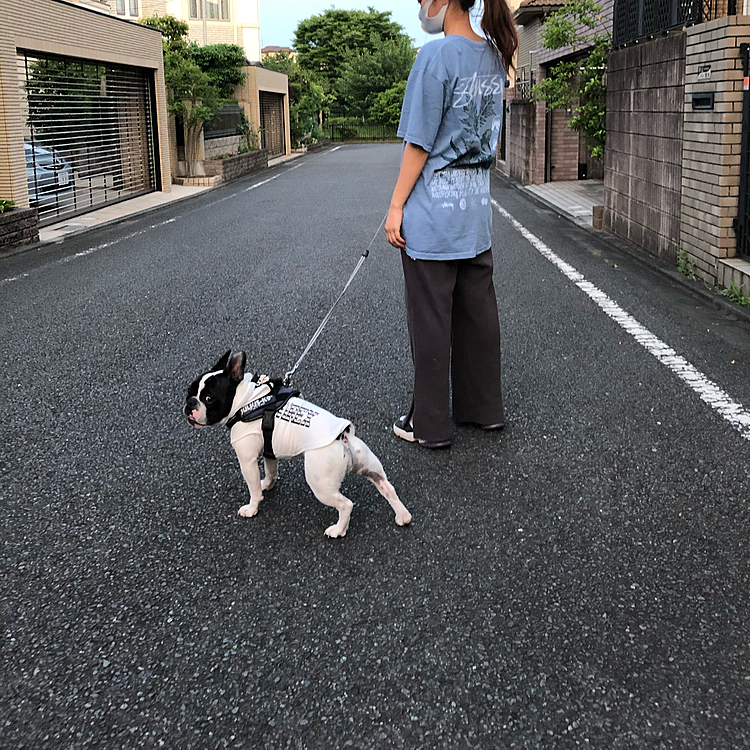 そして夕散歩は娘と一緒に🙂
