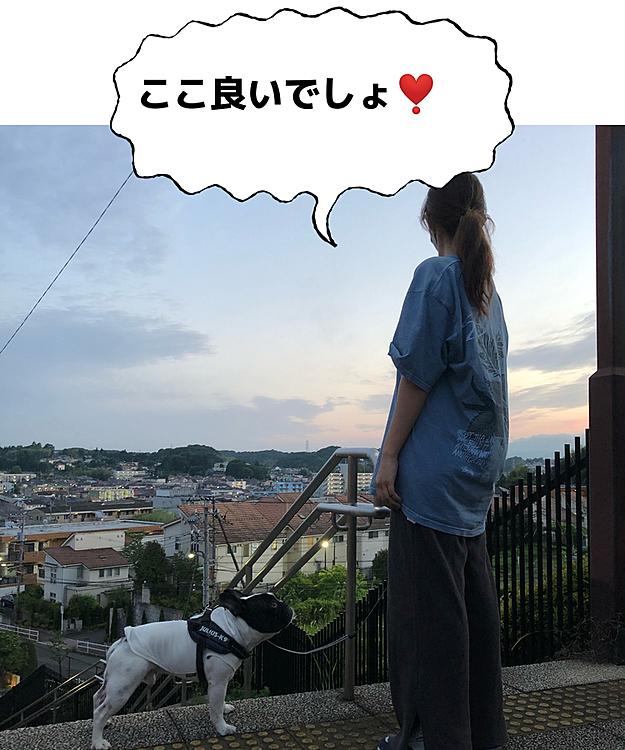 そして再びいつもの丘の上。もう7時近いのに日が伸びましたねぇ😀