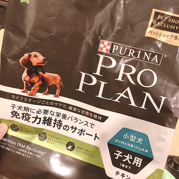 柴犬のブリーダーさんとお話して、ロイヤルカナンからプロプランにしました🐾

特にアレルギーもなくうんちも正常で
食欲も相変わらず旺盛で🤣
スムーズに移行できて安心しました🐾

こっちのが小粒でしつけもフードでやってるのでたくさん使えていい☺️