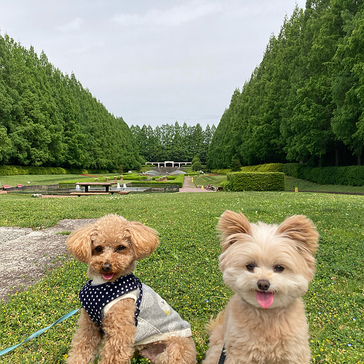 友達と公園行ったよー
