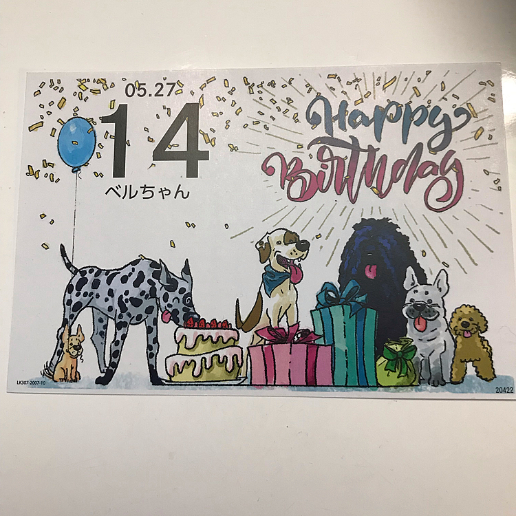おっはよございま〜す😊
今日はベルママの14歳のお誕生日です❣️
もう14歳になっちゃった😅
若いころは誕生日はめでたい🎉と思っていたんですがこの年になるとお誕生日きて欲しくな💦と思ってしまいます😢