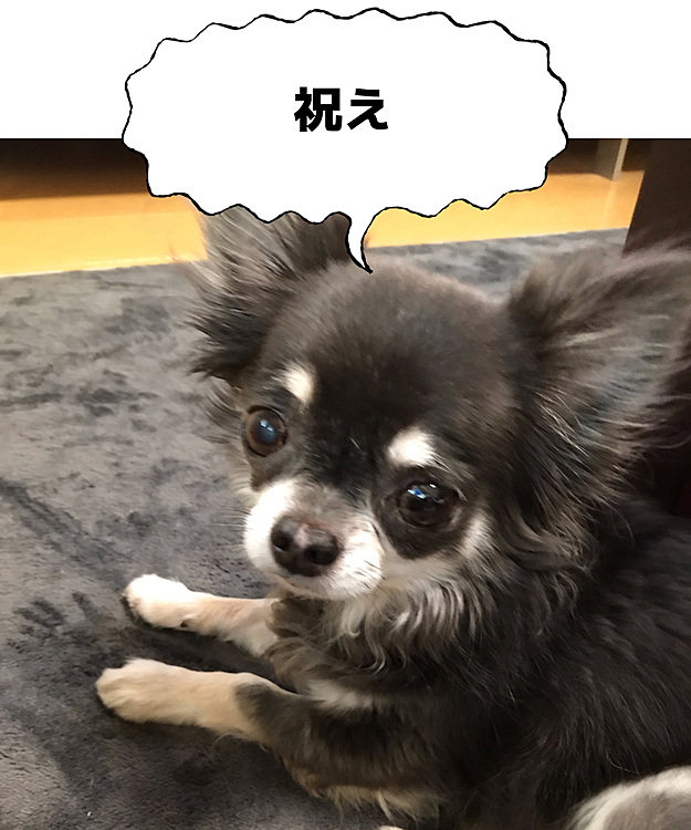 ぶつぶつ言ってる私を見る図😅

