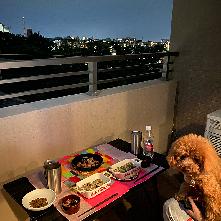 そして夜はスーパームーンで皆既月食と言う貴重な天体ショーを見ながらのベランピング♪

はい、分厚い雲で全く見えませんでした😅