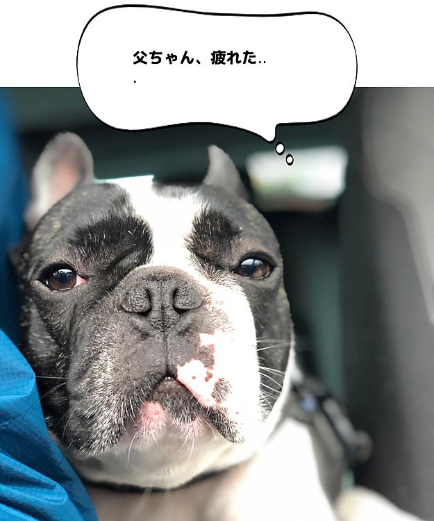 帰りのクルマはちょっとお疲れモード😅