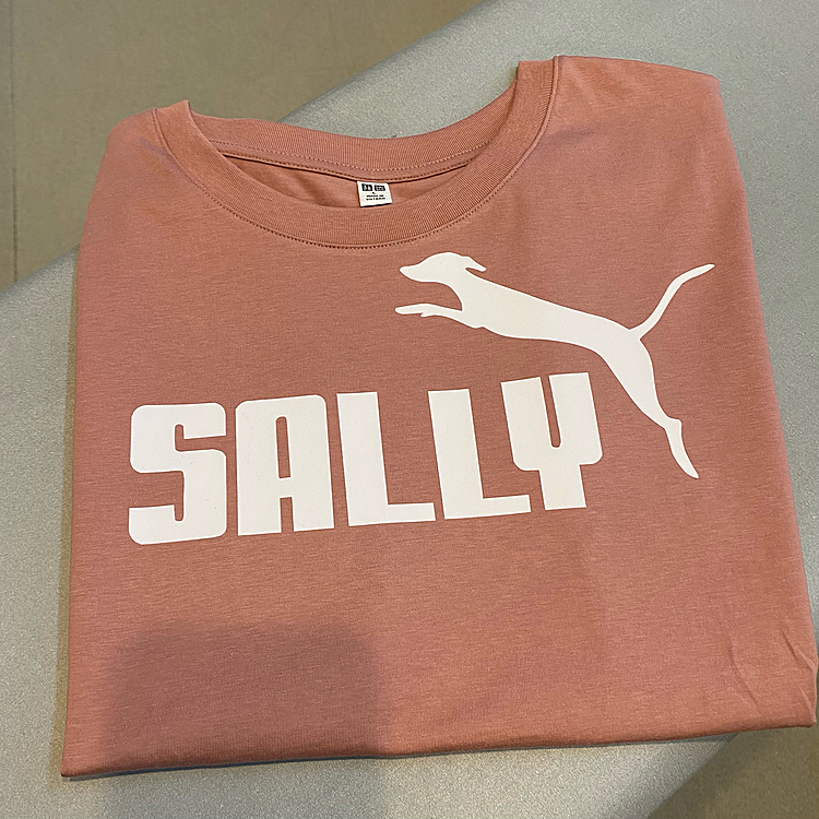 昨日は雨で引きこもりだったので、サリver.のTシャツを作りました🐾💕