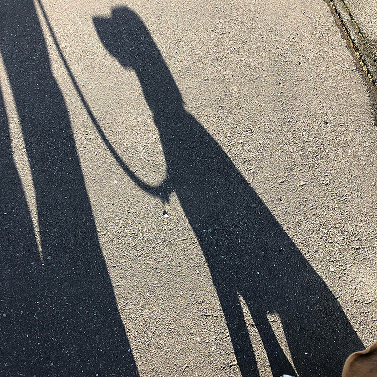可愛い影が出来てたから📸😄💕
