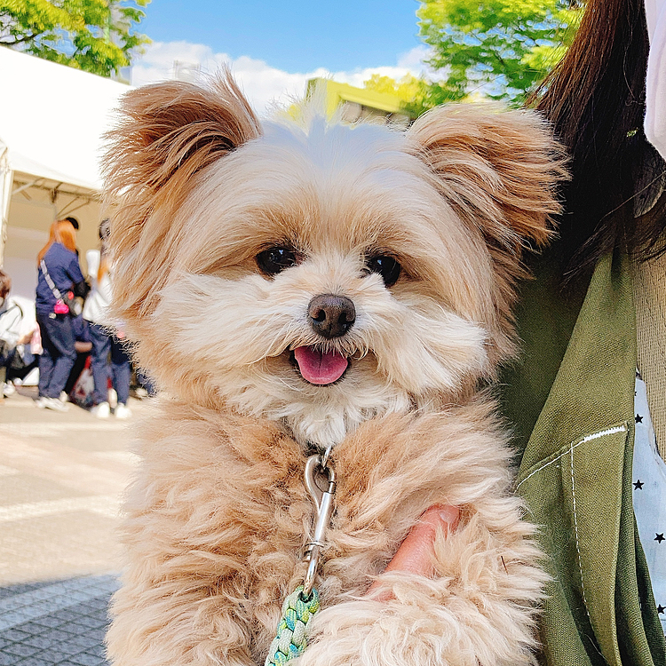 ママの抱っこが大好きだよー💕