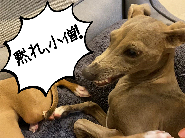 サリが来たことによって…