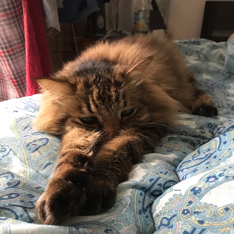 眠いネー💤💤