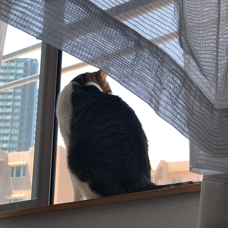 🍃風が入って来て気持ち良いよぉ〜☺️