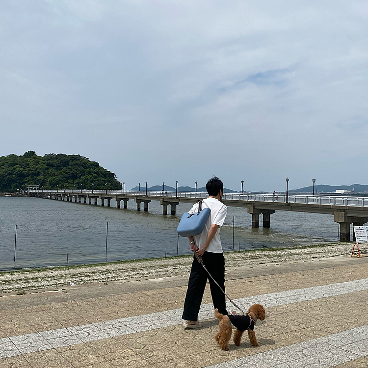橋を渡り島へ向かいます❣️