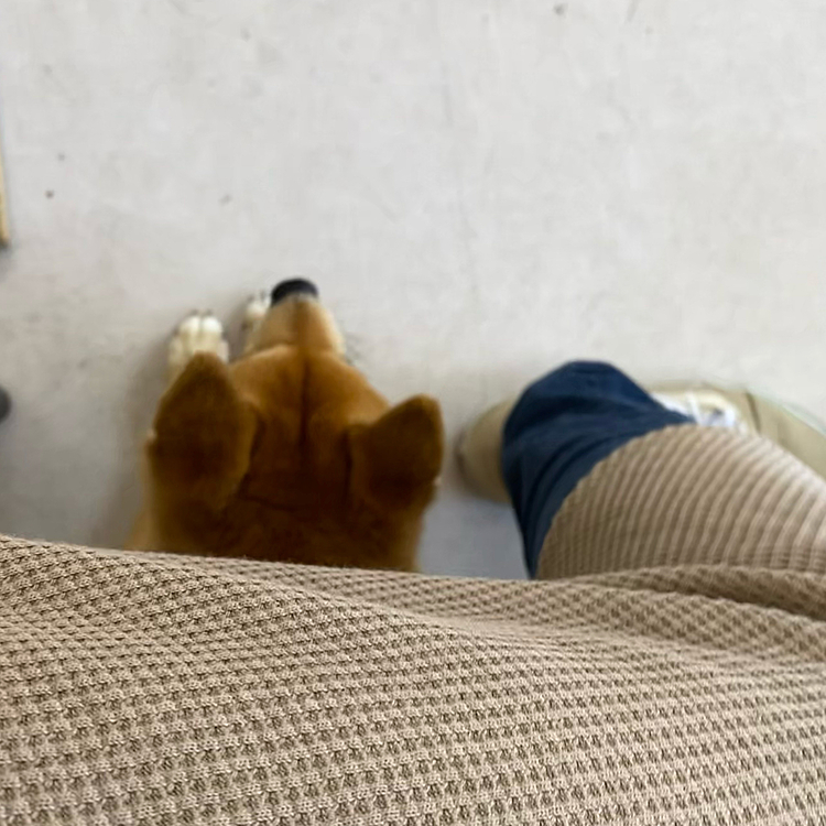 なんとか落ち着きましたが待ってる間、椅子の下に隠れて様子を見てました😅