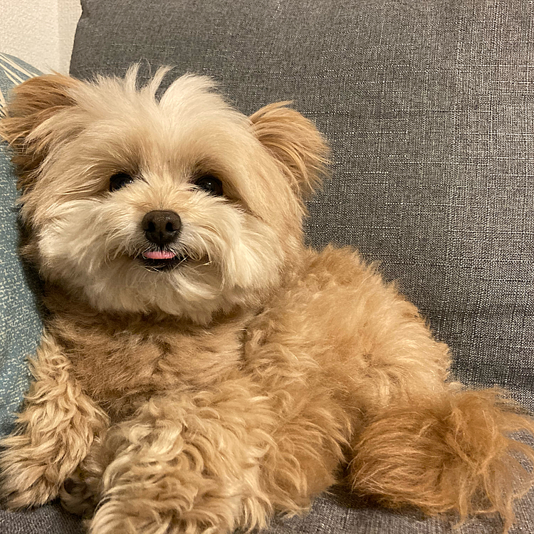 20時ですが眠いですおやすみなさい💤