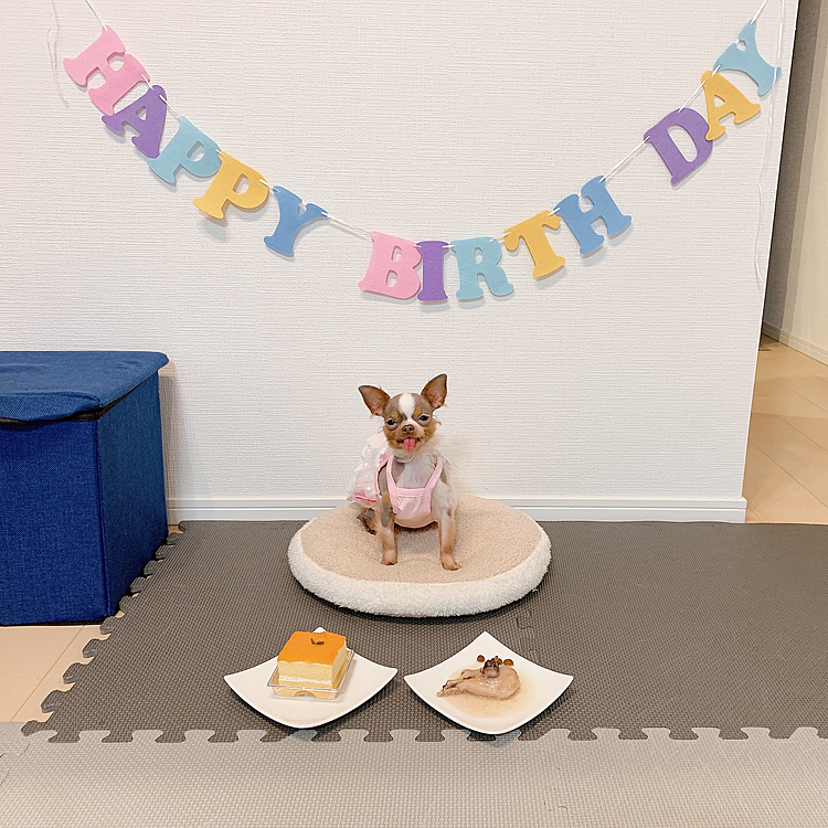 今日はしえるHappybirthday!!!🎁🎉
美味しいもの食べながら涙流してたよ🥺
こっちまでうるうる💖