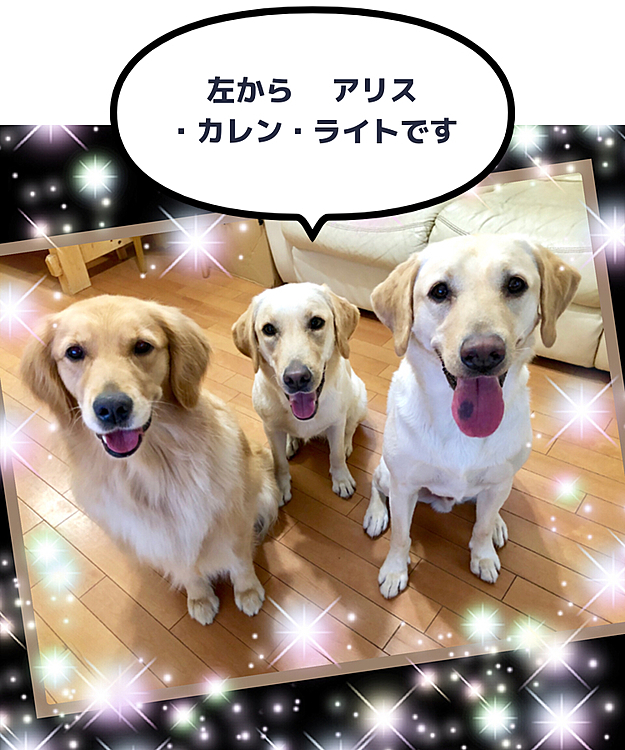 おはようございます😃

はじめまして🍀
いぬノートから来ました
ライト🐶 アリス🐶 カレン🐶です❣️

みなさん 仲良くしてくださいね😉
よろしくお願いします😊🎶