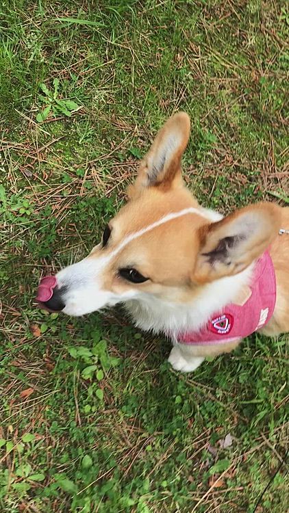 えへへ❤️
公園気持ちいいね😃