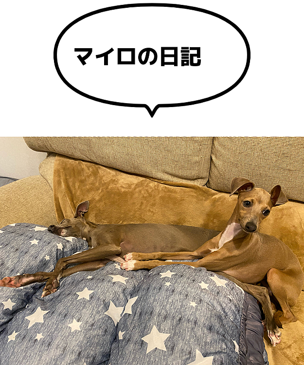 まったりしていると、必ずやって来る⤵︎⤵︎