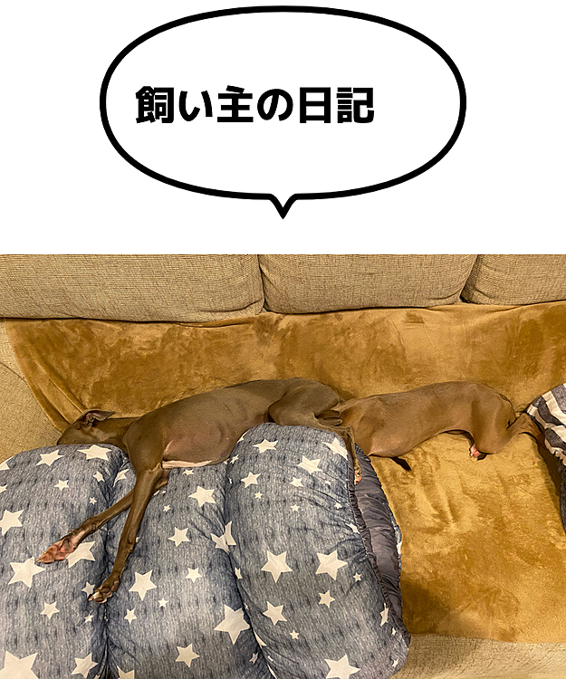 …からの、
ど、どーなってんの？これ🤣🤣🤣