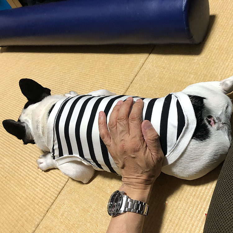 和室でのマッタリタイムに入ります😁