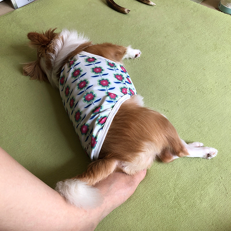 避けてくれたと思ったら…
小春、足をオチリで踏んでる⁉️
暑いやん🤣