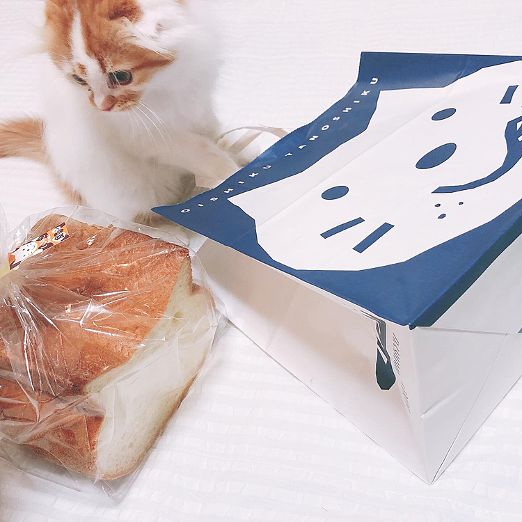 ねこ食パンと、猫🐈🍞
