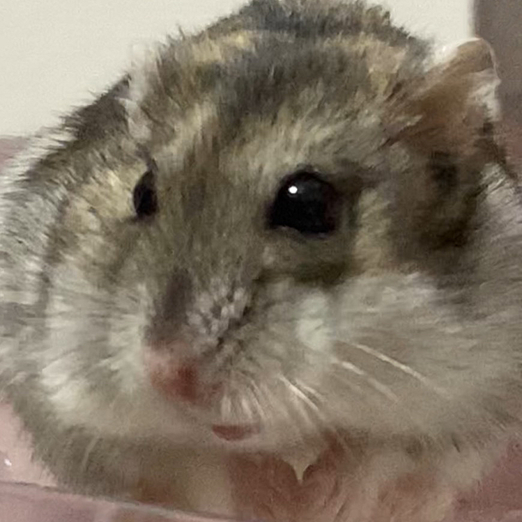 見てください、このキョトン顔を🥰🥰