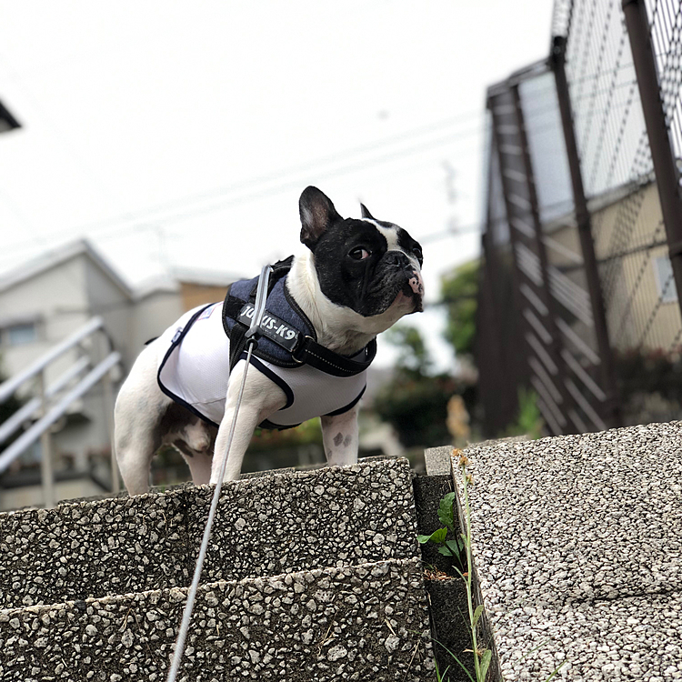 今日は街の平和を見守る下からのアングルも❣️
キメ顔してます😆
