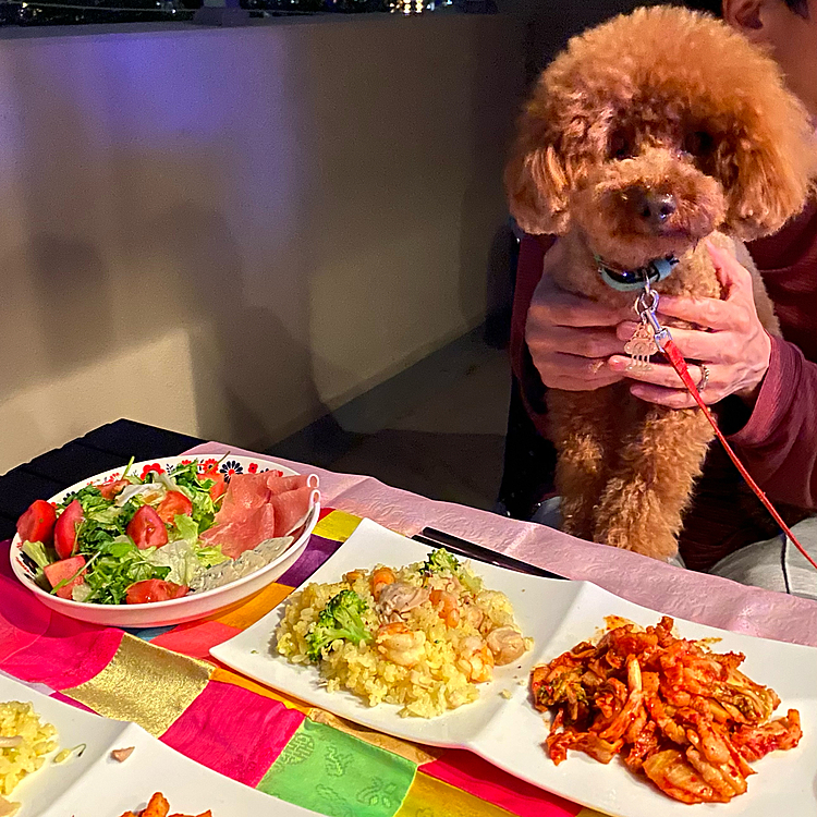 たくさん採れたら夜はワイン蒸し、翌日のランチはパスタに🍝と妄想していたんですが…悩みに悩み出汁を取ってパエリア🇪🇸にしてみました🥘隣には豚キムチ🇰🇷生ハムサラダ🇮🇹と何ともとっ散らかったメニューですがご愛嬌🤣
パエリアは材料を揃えてシーズニングを加えたらあとは炊飯器で炊くだけの何ちゃっての簡単なものです❣️