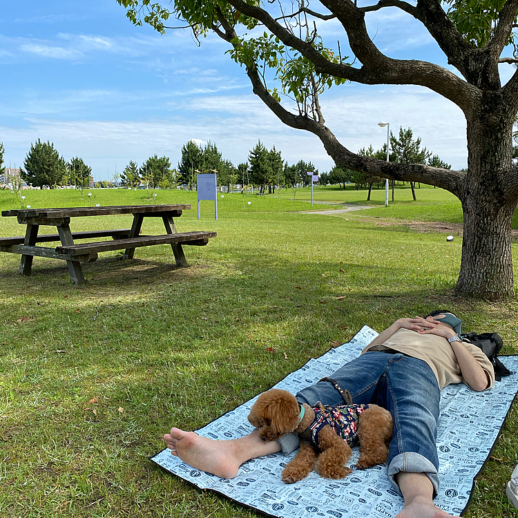 あ、もちろん恒例のお昼寝タイムもありましたよ💤