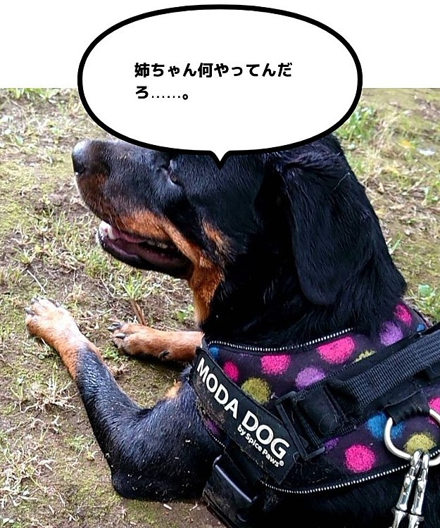 というような顔しているJillであった。