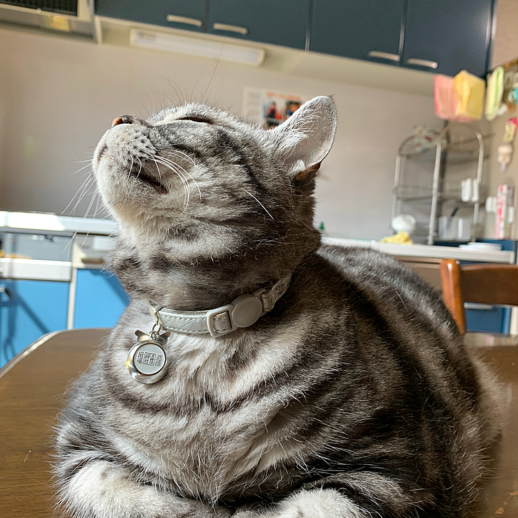 朝からエアコン稼働中