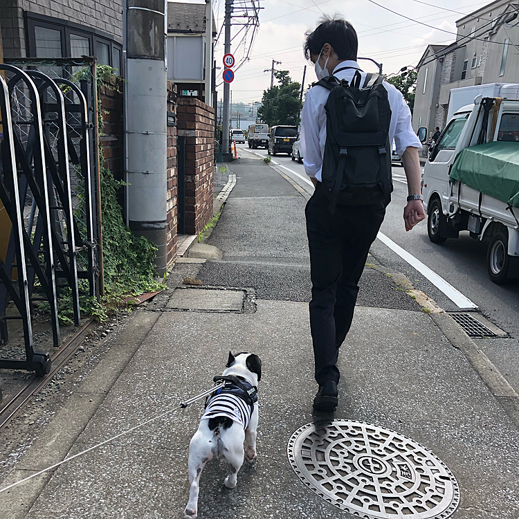 今朝は駅に向かう次男と一緒に家を出ました。
昨日の予報では雨模様だったのですが、午前中は雨の心配はない予報に変わりました😀