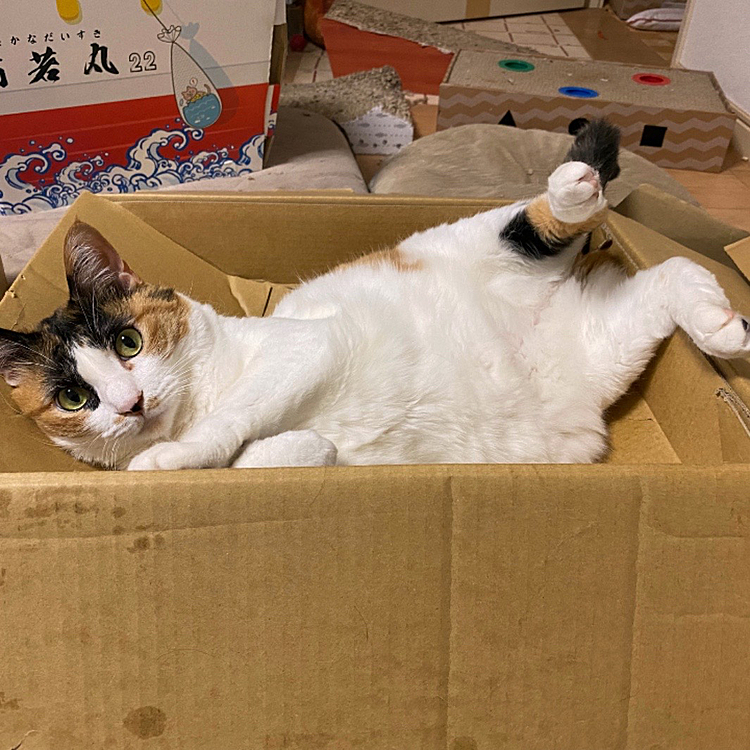 足上げポーズ