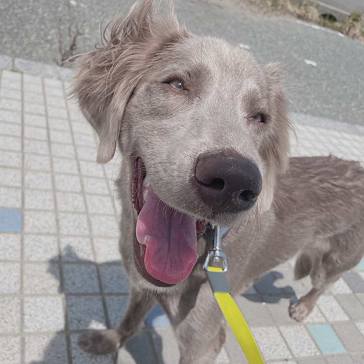 いつもニッコリです🙈💕